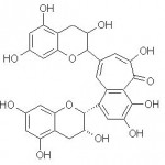 polyphenol